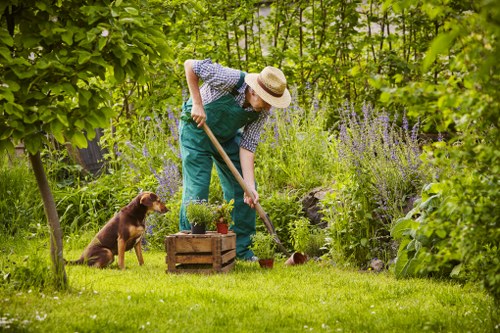 Screen-reader friendly Tree Surgeons Forestgate content layout