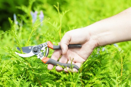 Arborist carrying out crown thinning near a local property boundary